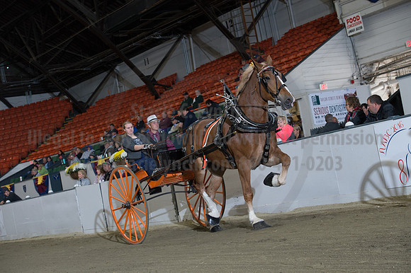 NABC8_10152016_SCL_0482