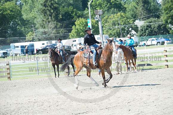 2016DCF_08272016_SCL_1120