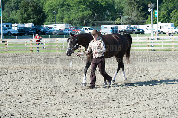 2016DCF_08272016_SCL_0972