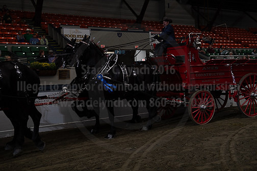 BigE_09272024_SCL1362