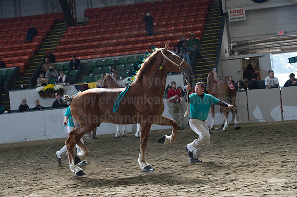 NABC8_10122016_SCL_2879