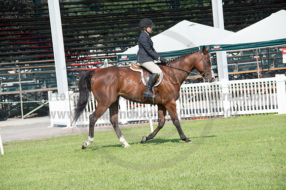 2016DCF_08242016_SCL_8571