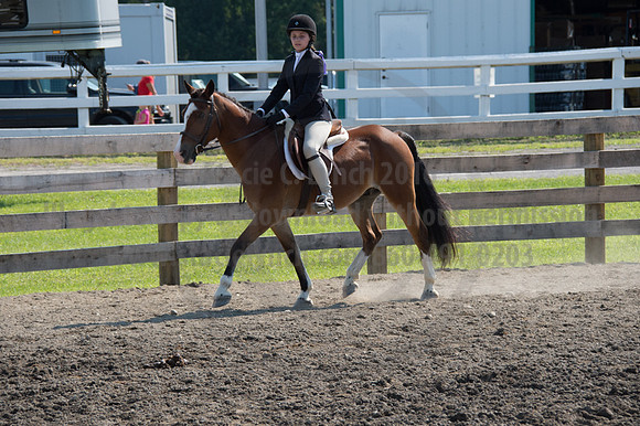 2016DCF_08242016_SCL_8677
