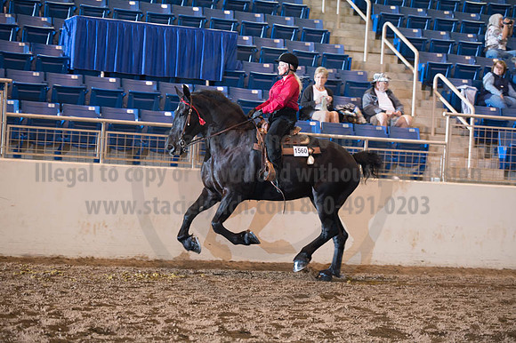 2016 _KILE_10082016_SCL9458