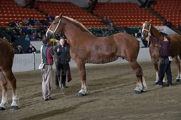 NABC8_10132016_SCL_5319