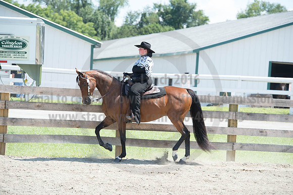 2016DCF_08272016_SCL_1340
