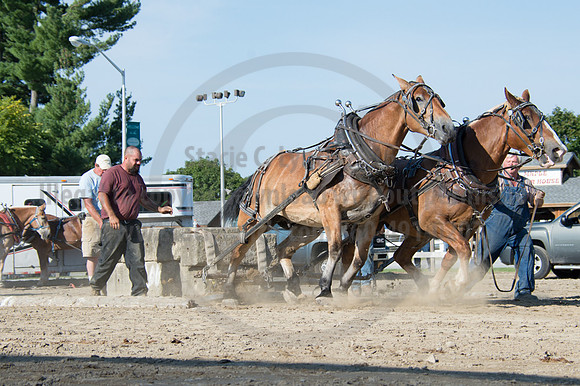 2016DCF_08242016_SCL_9489
