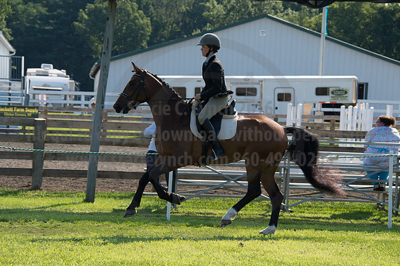 2016DCF_08242016_SCL_8565