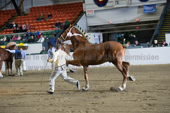 NABC8_10122016_SCL_4114