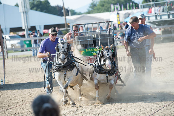 2016DCF_08272016_SCL_1471