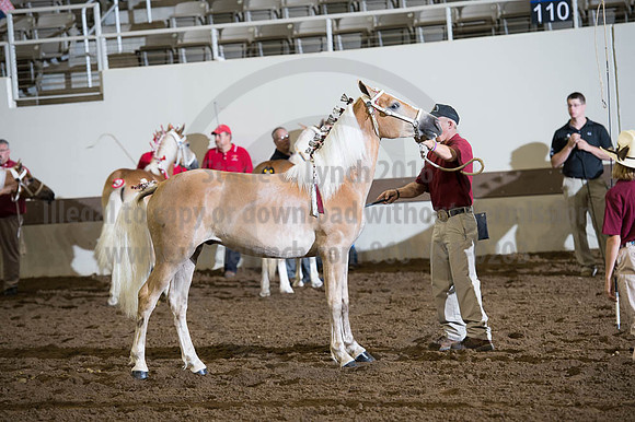 ISF_08192016_SCL_3931 - Copy