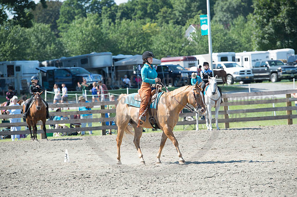 2016DCF_08272016_SCL_1124