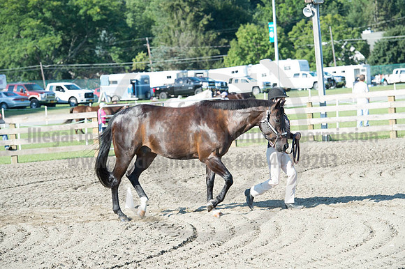2016DCF_08272016_SCL_0927