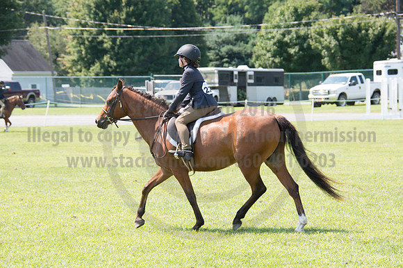 2016DCF_08242016_SCL_8921