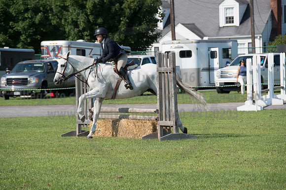 2016DCF_08242016_SCL_8636