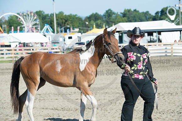 2016DCF_08272016_SCL_0949