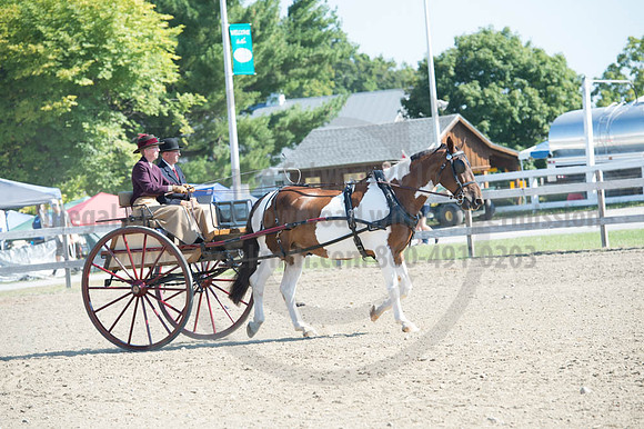 2016DCF_08272016_SCL_1074