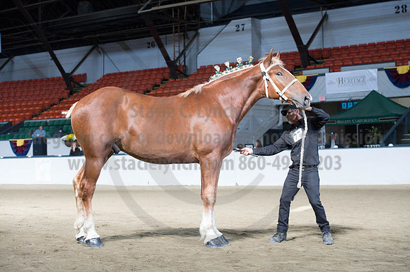 NABC8_10122016_SCL_2860