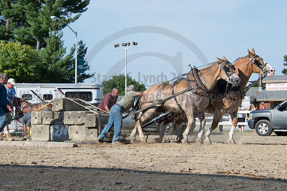 2016DCF_08242016_SCL_9534
