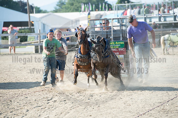 2016DCF_08272016_SCL_1462