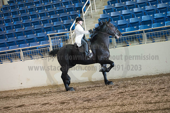 2016 _KILE_10082016_SCL9329
