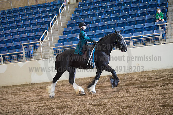 2016 _KILE_10082016_SCL9411