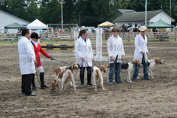 2016DCF_08252016_SCL_9825