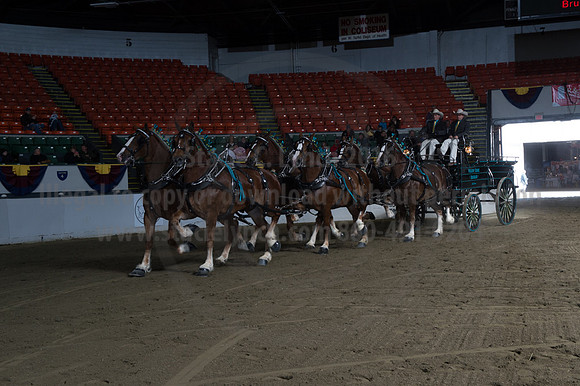 NABC8_10142016_SCL_8663