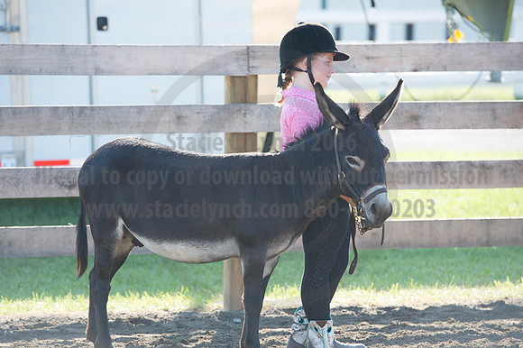 2016DCF_08272016_SCL_0912