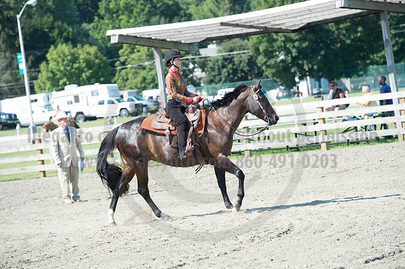 2016DCF_08272016_SCL_1084