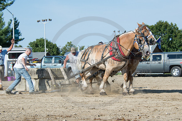 2016DCF_08242016_SCL_9453