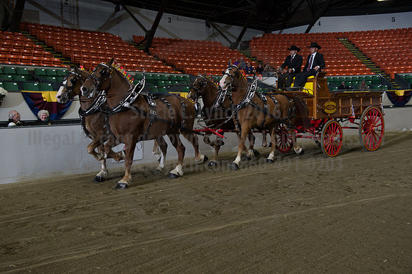 NABC8_10132016_SCL_7751