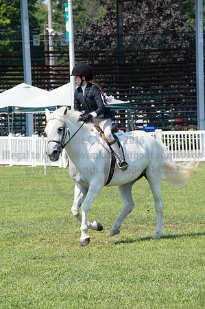 2016DCF_08242016_SCL_8825