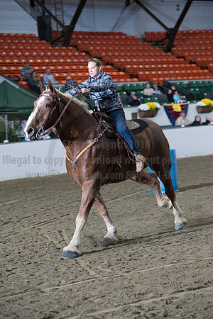 NABC8_10142016_SCL_8962