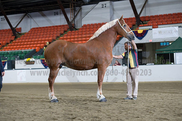 NABC8_10132016_SCL_5299