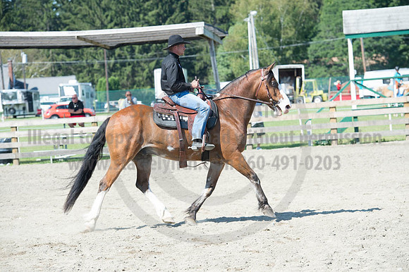 2016DCF_08272016_SCL_1121