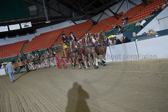 NABC8_10132016_SCL_7775