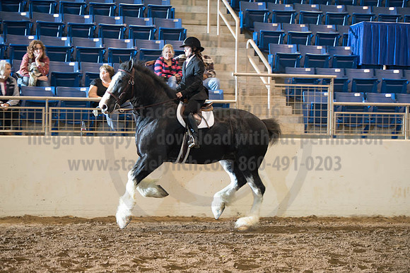 2016 _KILE_10082016_SCL9317