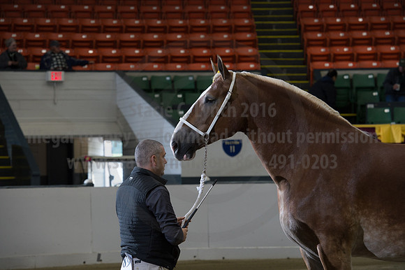 NABC8_10132016_SCL_5314