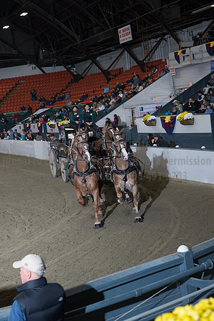 NABC8_10142016_SCL_8755