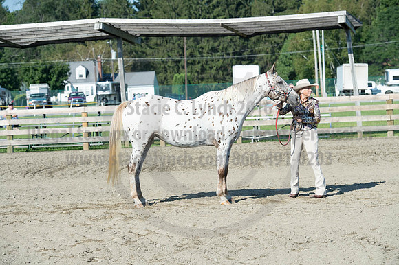 2016DCF_08272016_SCL_0952