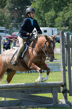 2016DCF_08242016_SCL_8754