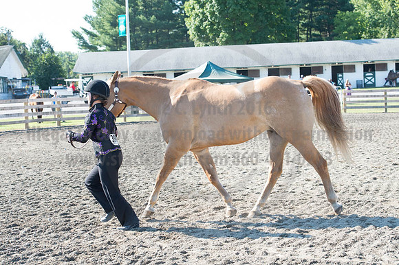 2016DCF_08272016_SCL_1015