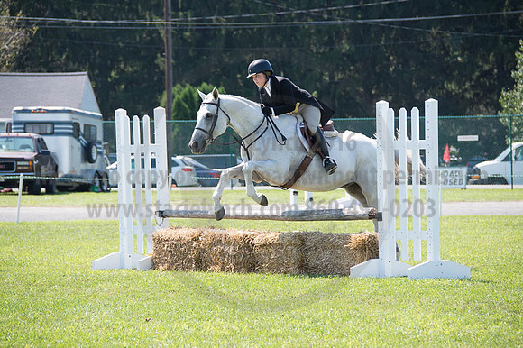 2016DCF_08262016_SCL_0732