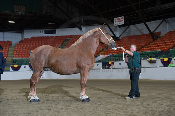NABC8_10132016_SCL_5081