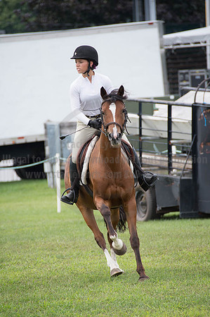 2016DCF_08252016_SCL_9979