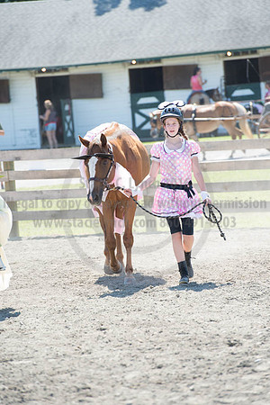 2016DCF_08272016_SCL_1243