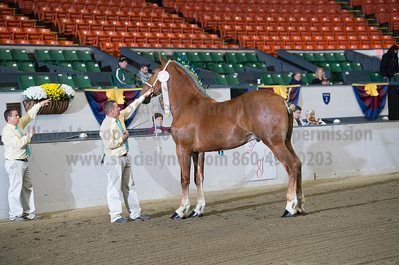 NABC8_10122016_SCL_4145