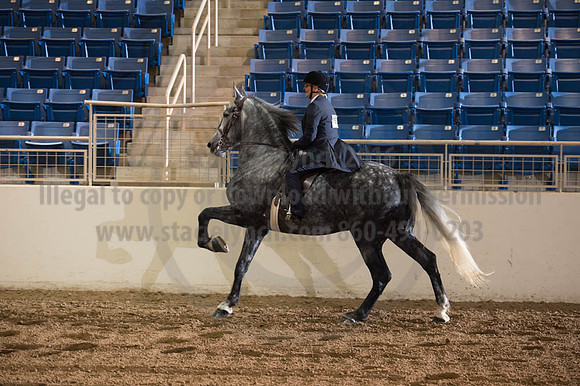 2016 _KILE_10082016_SCL9383