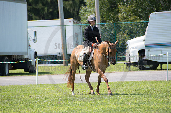 2016DCF_08242016_SCL_8975